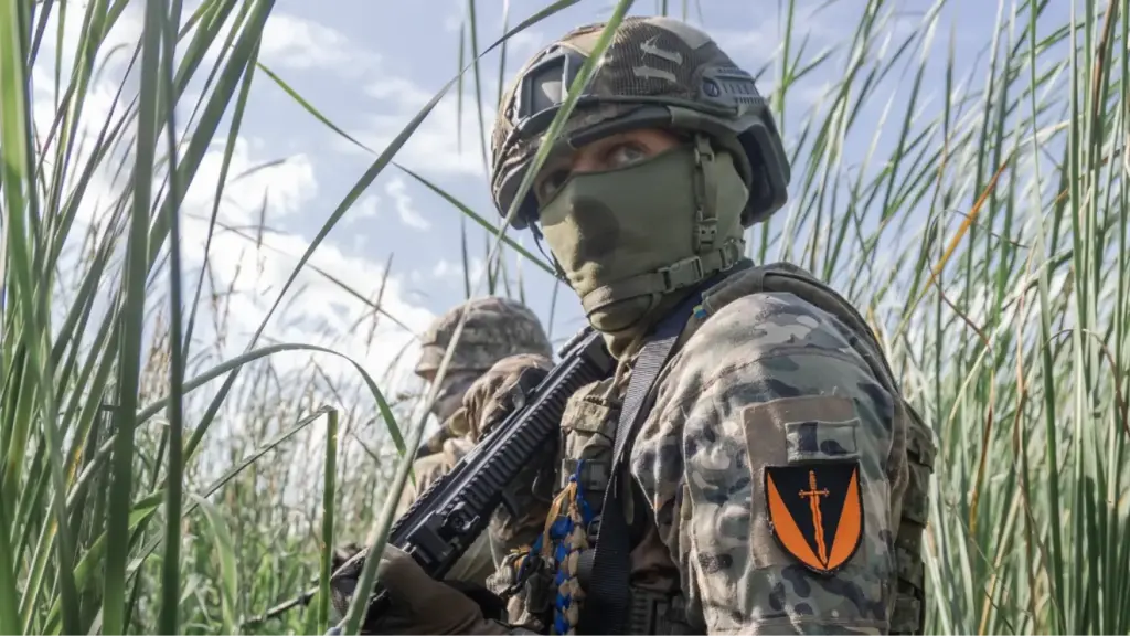 Українські сили просуваються на Запорізькому напрямку