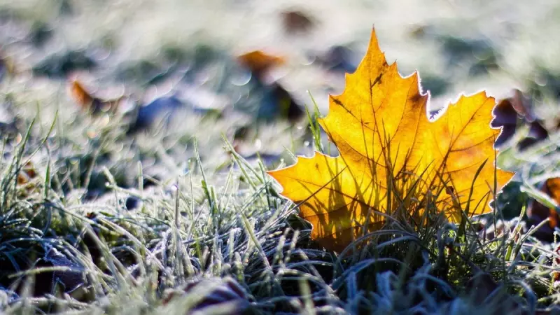  Погода в листопаді 2025: синоптики попередили про зміну температур і перші холоди