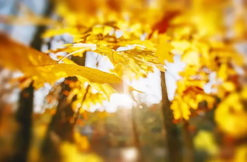  Похолодання триває: погода в Україні 20 жовтня — дощі слабшають, але тепла не буде