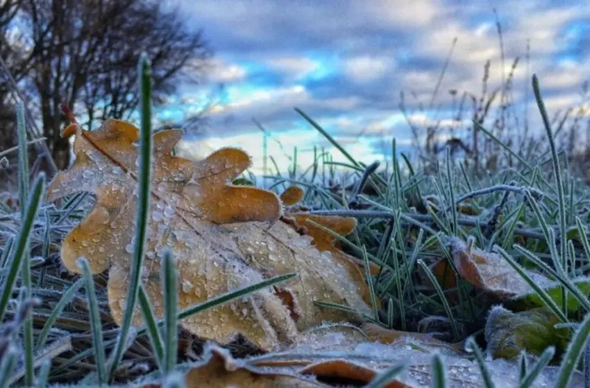  Похолодає, але без злив: в Україні прогнозують сухіші дні та перші заморозки