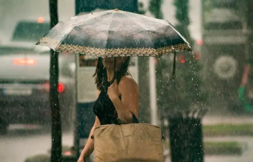  Тиждень розпочнеться з тепла: у Києві до +12°, по Україні — дощі