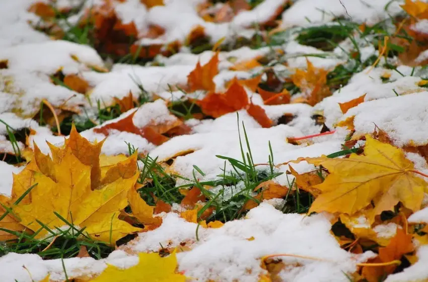  В Україну насувається різке похолодання: уже за кілька днів можливий мокрий сніг