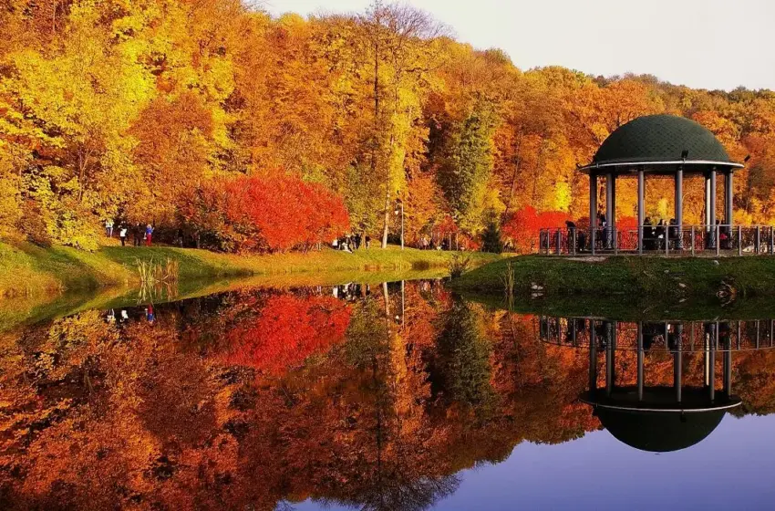  Погода в Києві 6 листопада: сонячна осінь без опадів і з приємним теплом