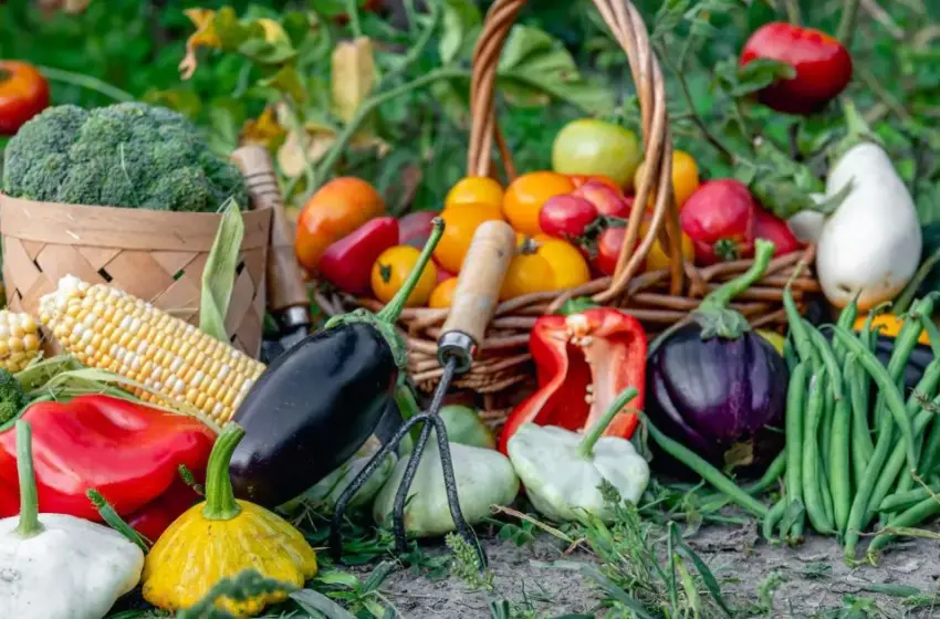  Ціни на овочі та фрукти в Україні: що подешевшало, а за що доведеться платити більше