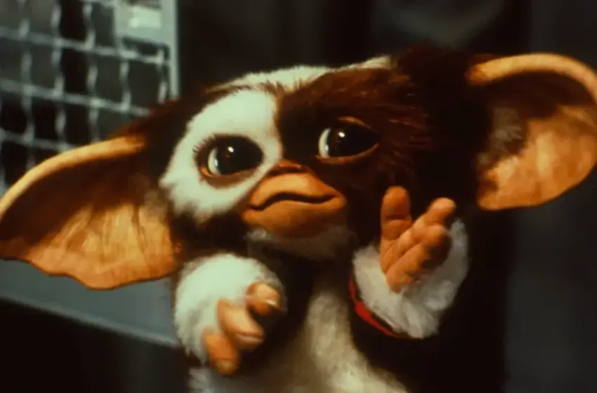  Офіційно: “Гремліни 3” від Стівена Спілберга вийдуть через 43 роки після першого фільму