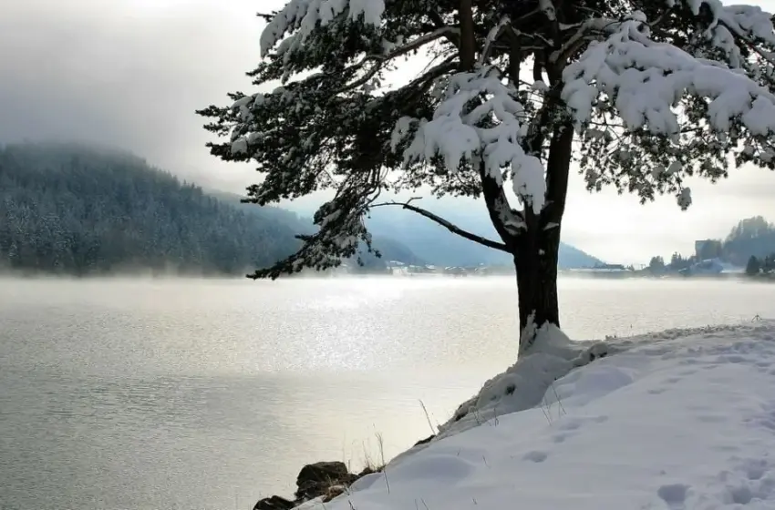  Погода на 25 листопада: мокрий сніг, туман і до +17° — чим здивує вівторок