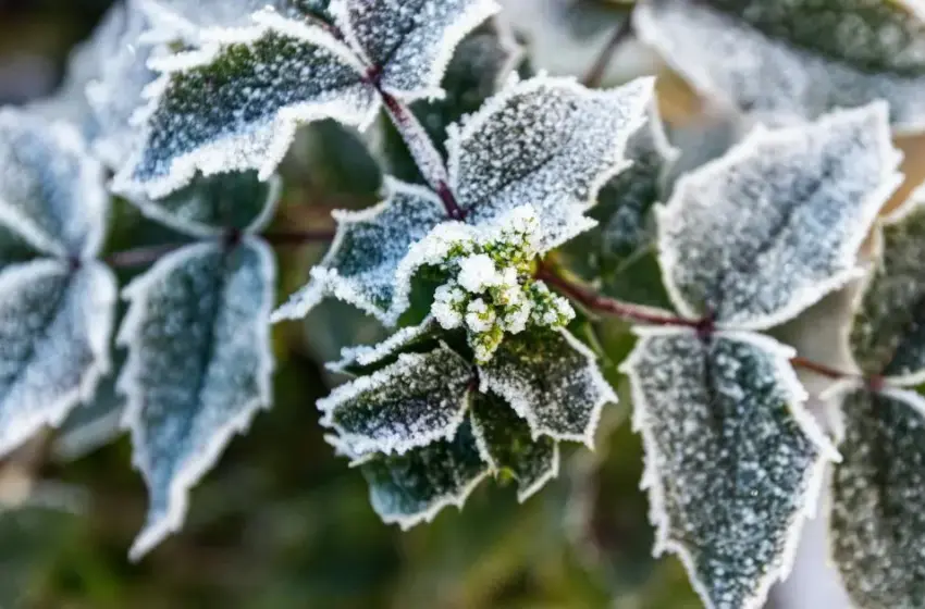  Погода на найближчі дні: в яких областях вже завтра очікується похолодання до +5°
