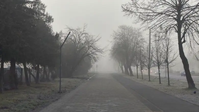  Погода в Україні 28 листопада: синоптики попереджають про густі тумани та незвичне тепло