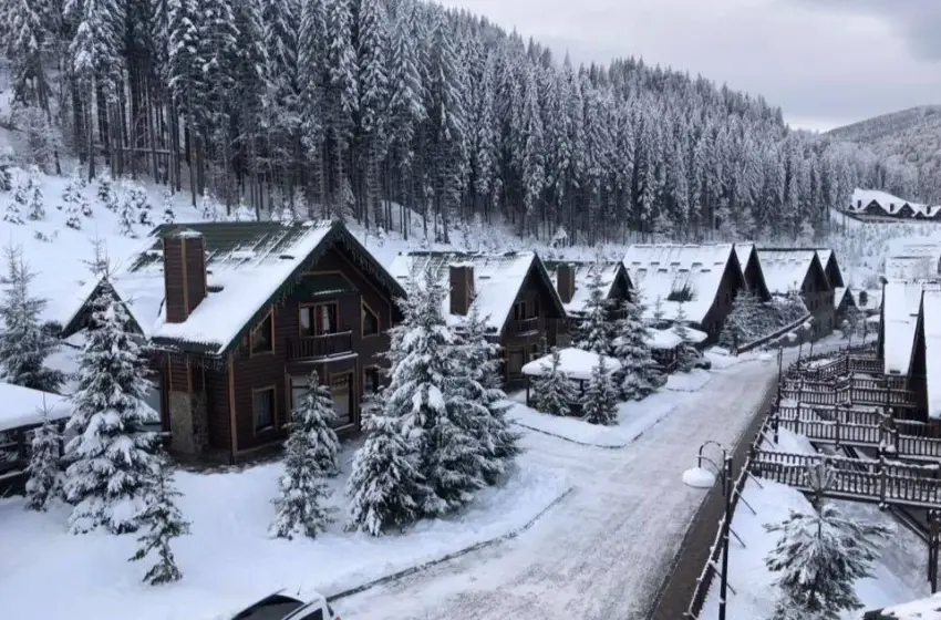  Де в Карпатах оренда подорожчала на 213%, а де подешевшала: ціни у грудні 2025 року