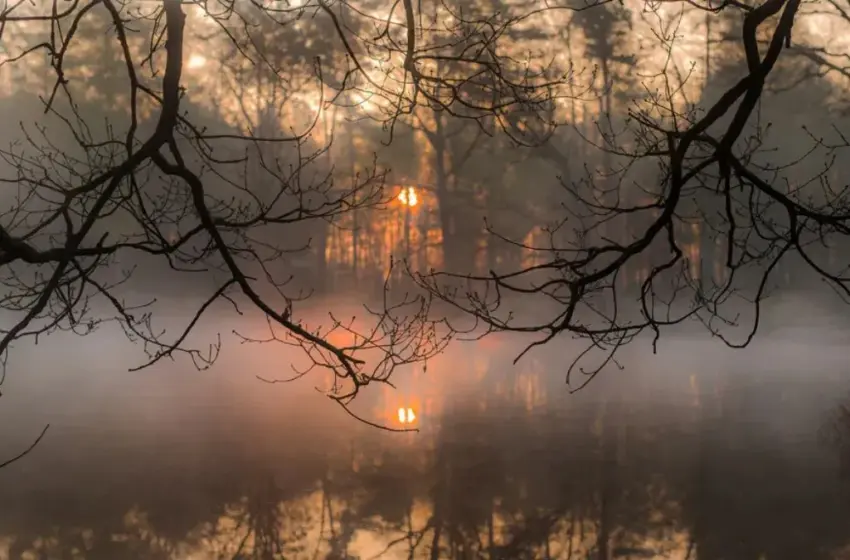  Погода в Україні 18 грудня: до +12° і жодного дощу — найтепліше буде на півдні