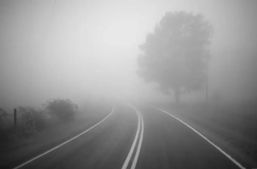  Україну 1 грудня накриє туман і дощі: зима стартує з аномального тепла