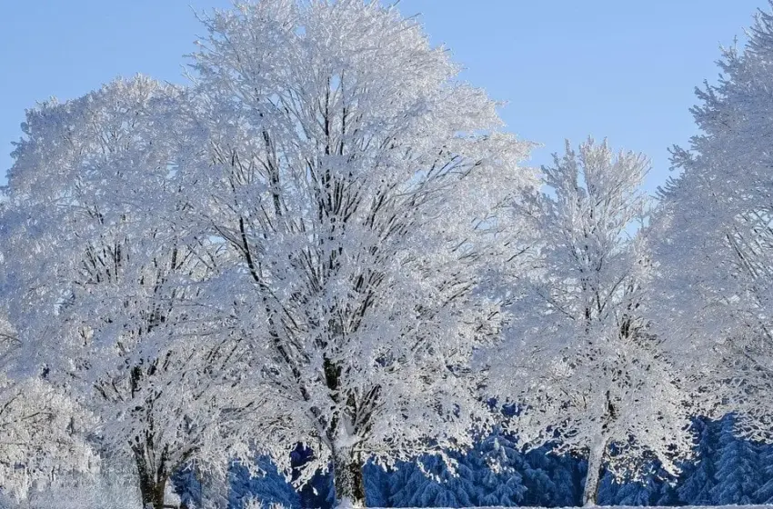  31 січня в Україну повертається негода: які регіони опиняться під загрозою