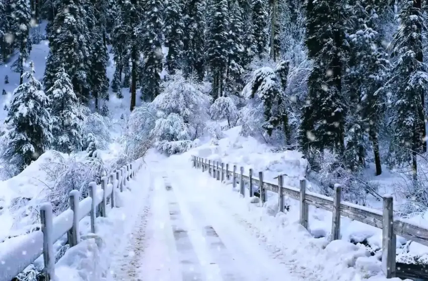  Погода на 20 січня: зимове сонце не зігріє — країну охоплять морози до -18°