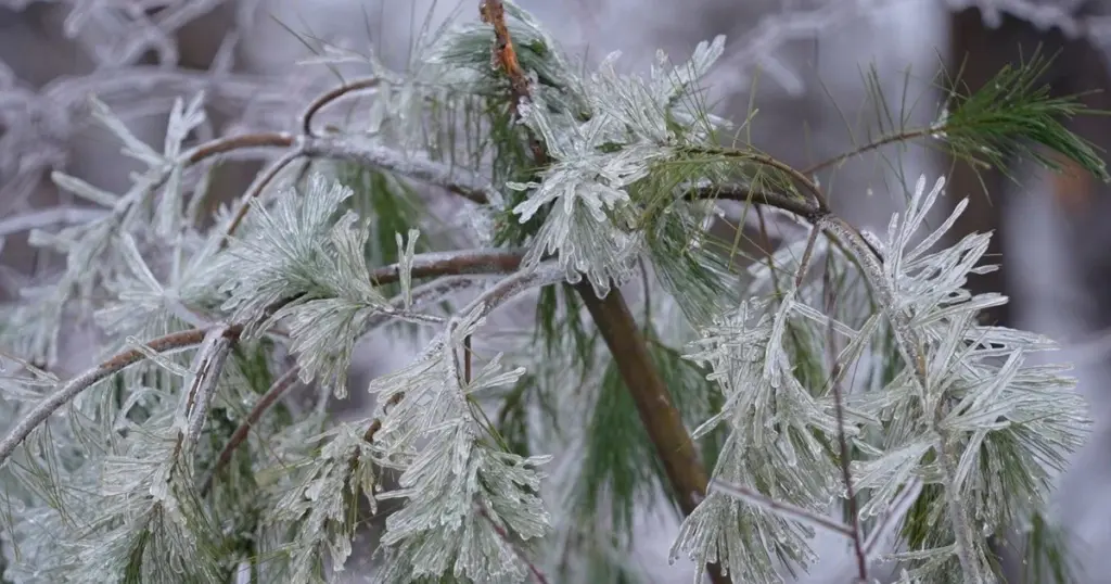 Погода в лютому 2026