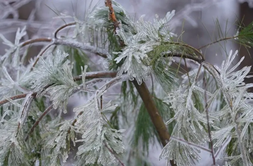  Погода в лютому 2026: арктичні морози, до 45 см снігу і затяжна зима — коли чекати потепління