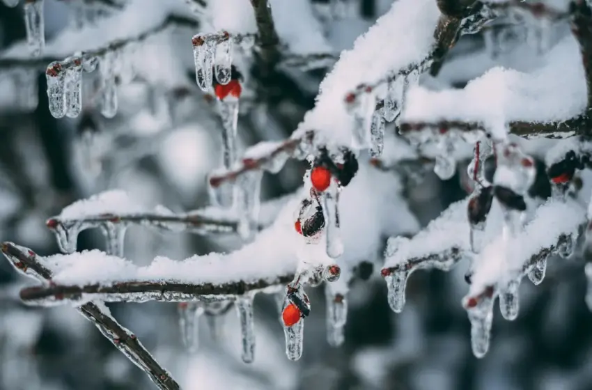  Січень вдарить морозами: синоптики розповіли, якої погоди чекати українцям у 2026 році